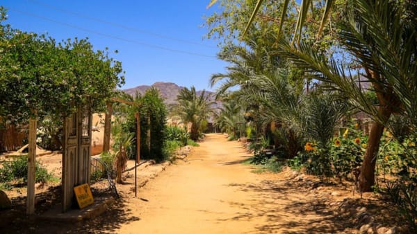 Why Farm Hopping Is The Most Radical Way To Travel Right Now